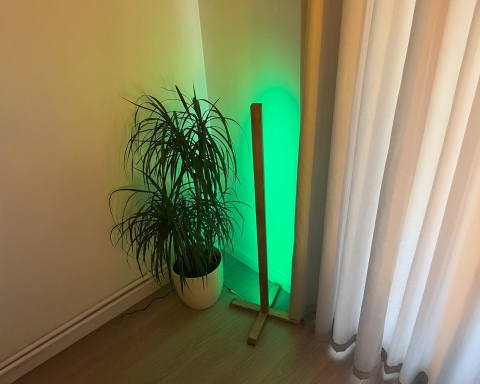 Handmade Wooden RGB Neon LED Floor Lamp - Madrid